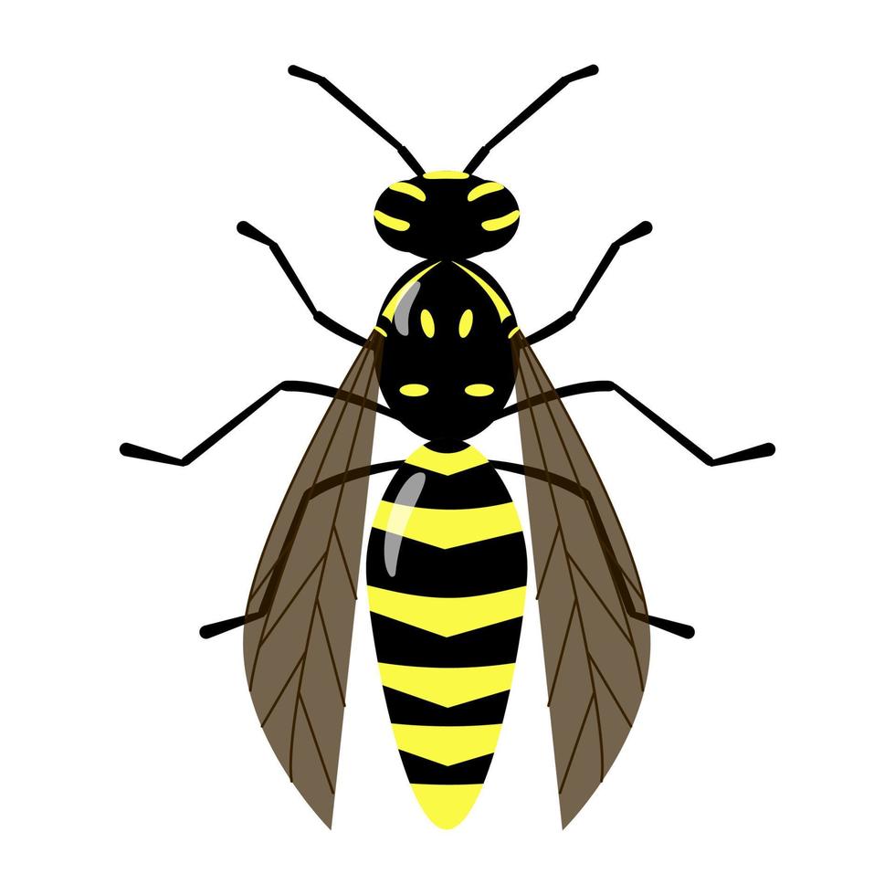 avispa vectorial aislada en el fondo blanco. personaje de abeja ilustración colorida de insecto picador amarillo y negro vector