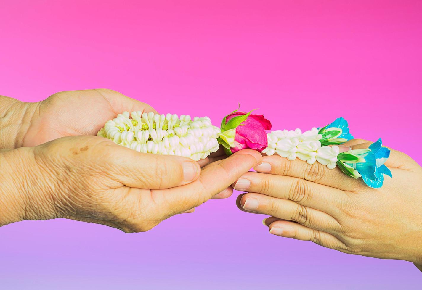 Young hands give jasmine garland to the older isolated over purple gradient background. Thai tradition for any special family occasions for paying high respective with love and care. photo