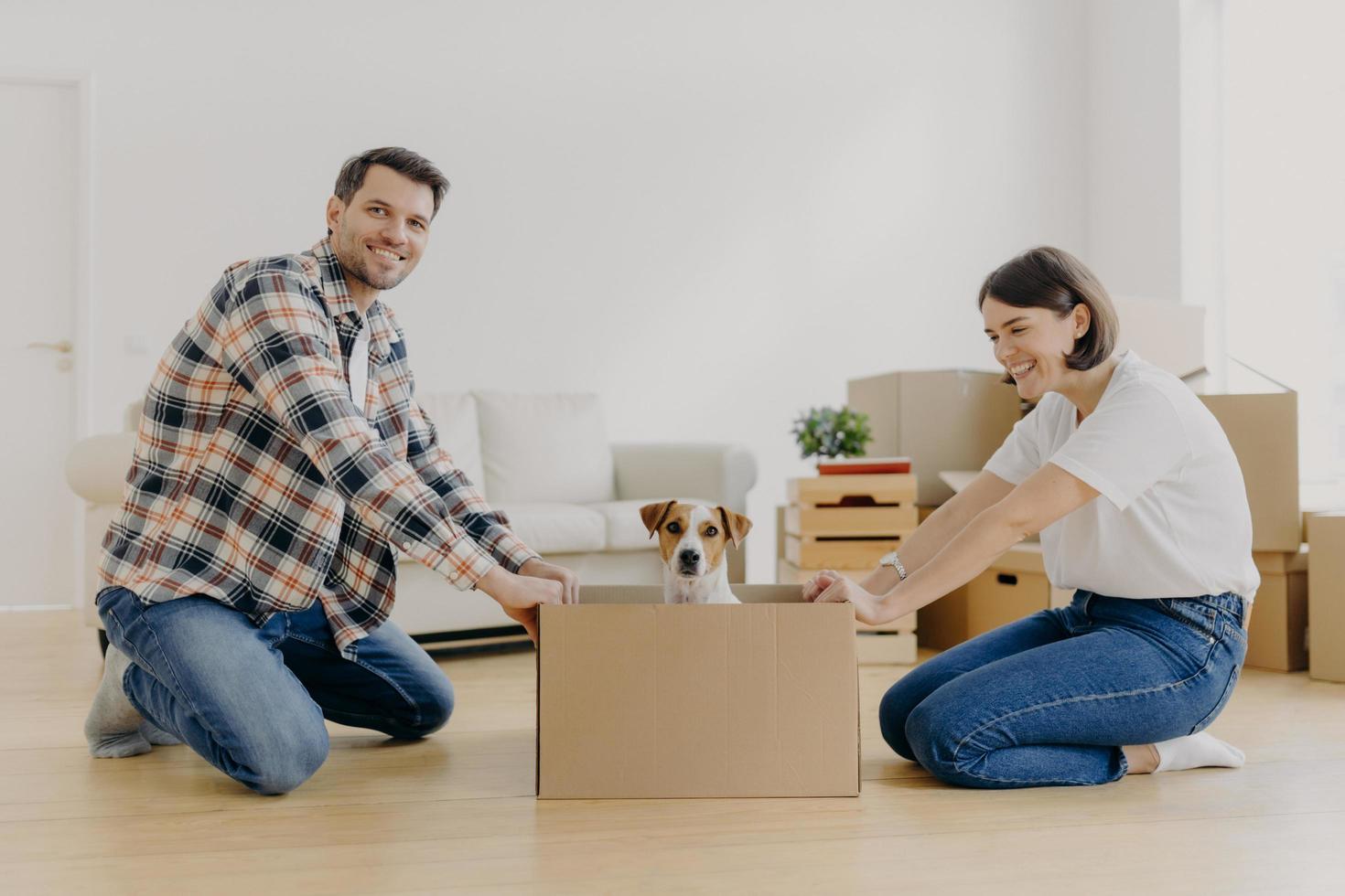 una pareja milenaria positiva juega con su mascota favorita, se divierte durante la mudanza a un nuevo apartamento, se pone de rodillas cerca de una caja de cartón con un perro, disfruta del ambiente doméstico, vive juntos en una casa moderna foto