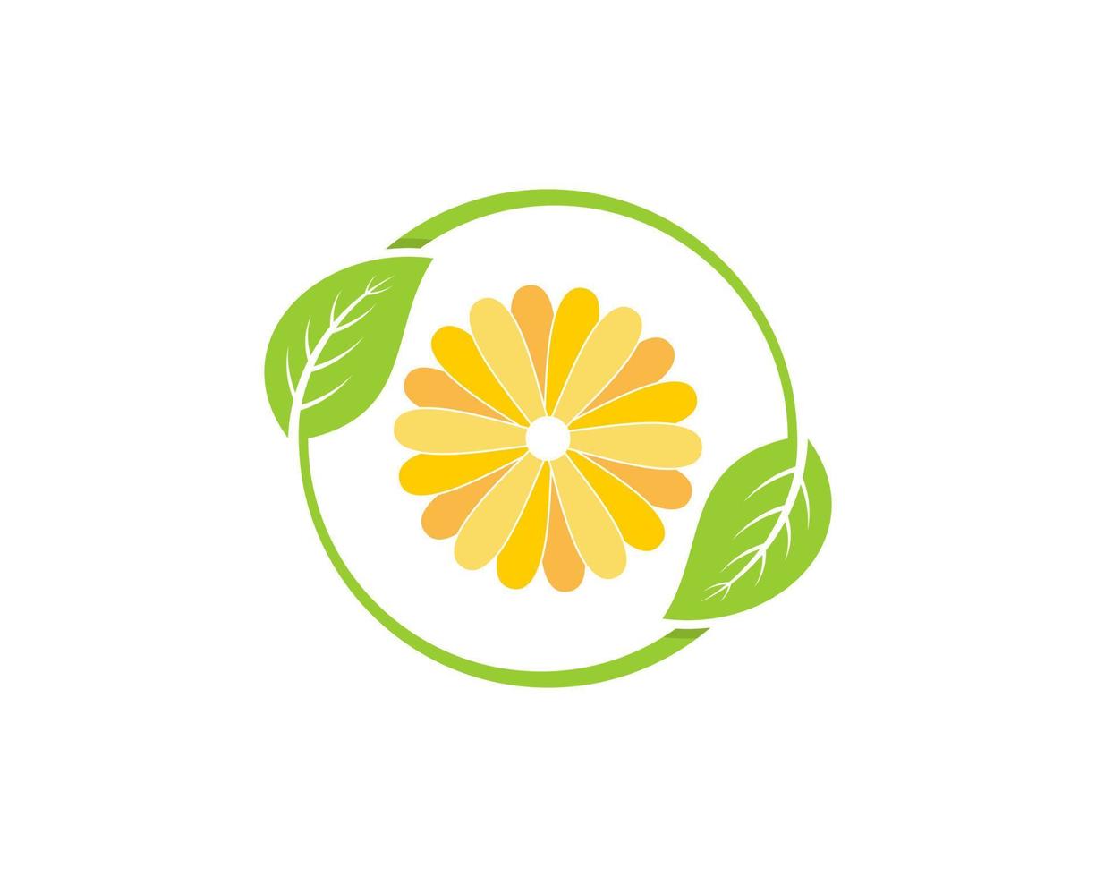 Golden flower inside the circular leaf vector