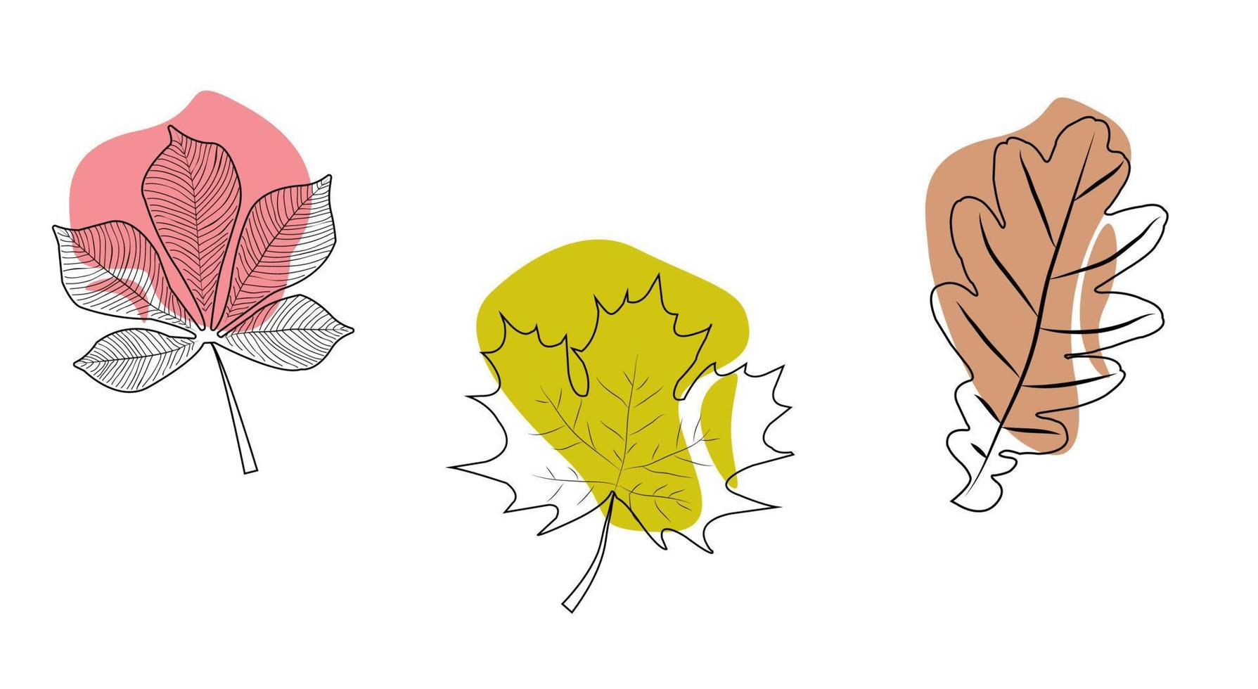 contour illustrations of tree leaves030722 vector