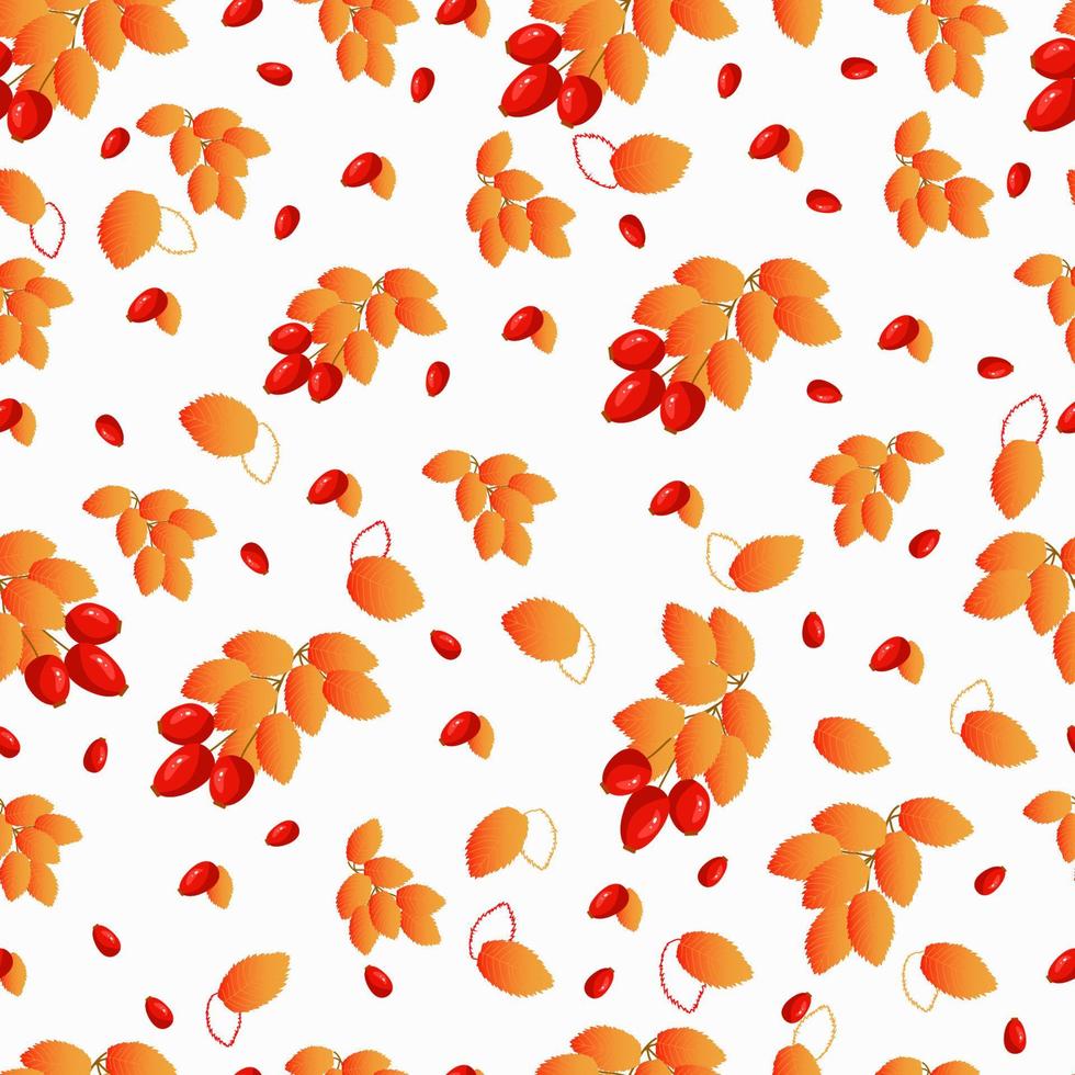 seamless autumn pattern with rosehip branch vector