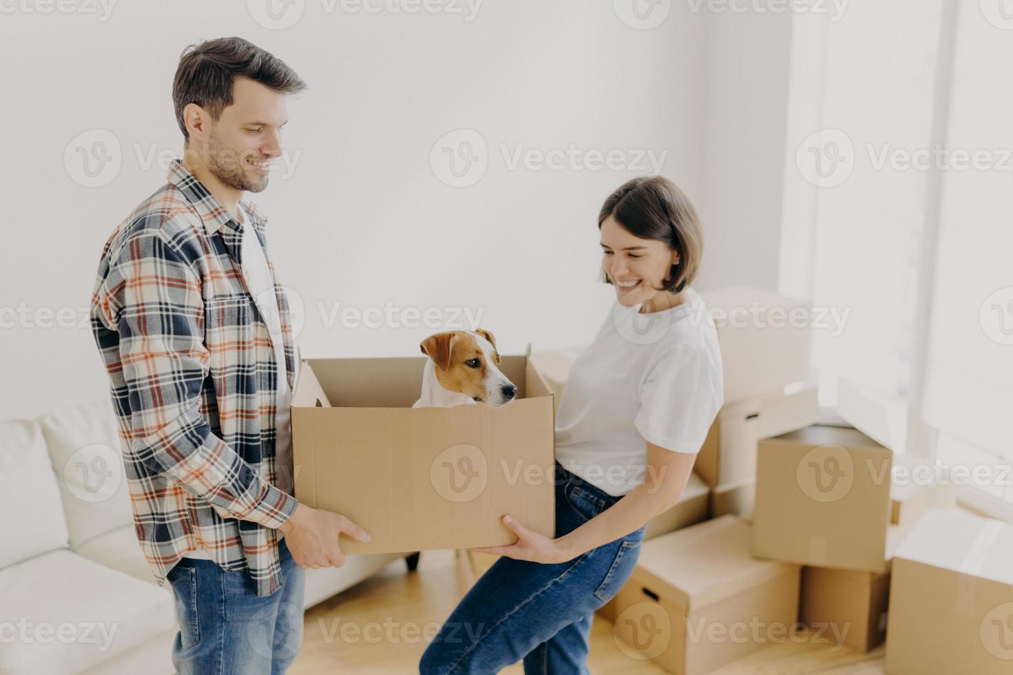 Indoor shot of positive female and male carry carton box with favourite pet, relocate in other place of living, busy with unpacking personal belongings, pose in empty room with many containers. photo