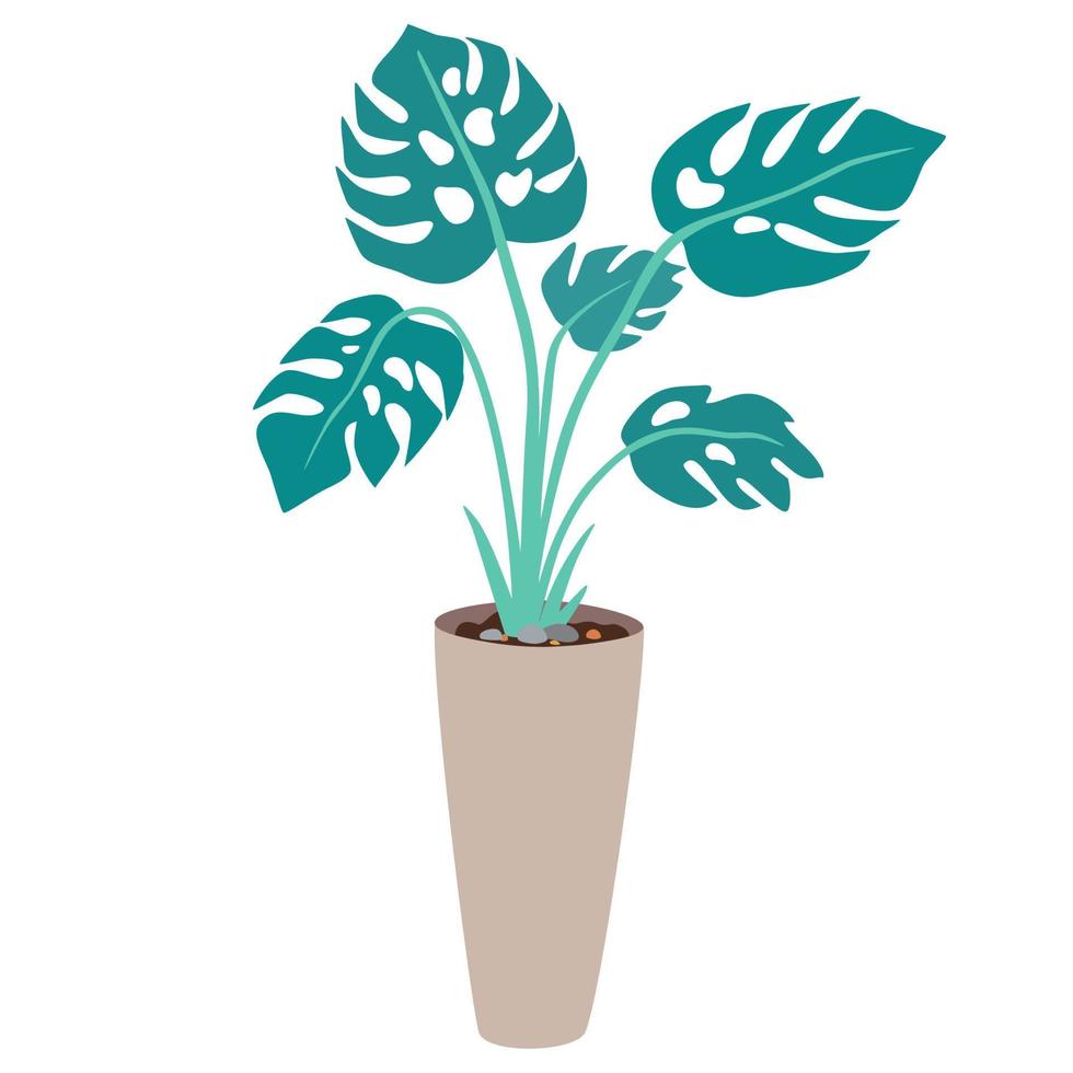 planta de interior en maceta. planta de interior de follaje que crece en maceta. decoración de hojas verdes para el interior del hogar. decoración interior natural. dibujar a mano ilustración vectorial aislado sobre fondo blanco vector