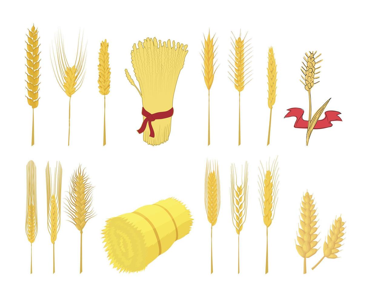 Wheat icon set, cartoon style vector