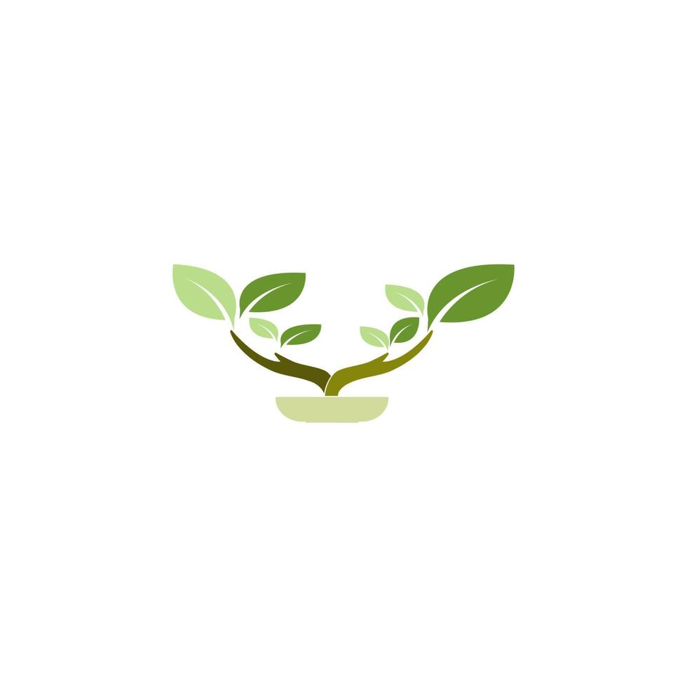 ilustración de diseño de vector de icono de elemento de planta ornamental