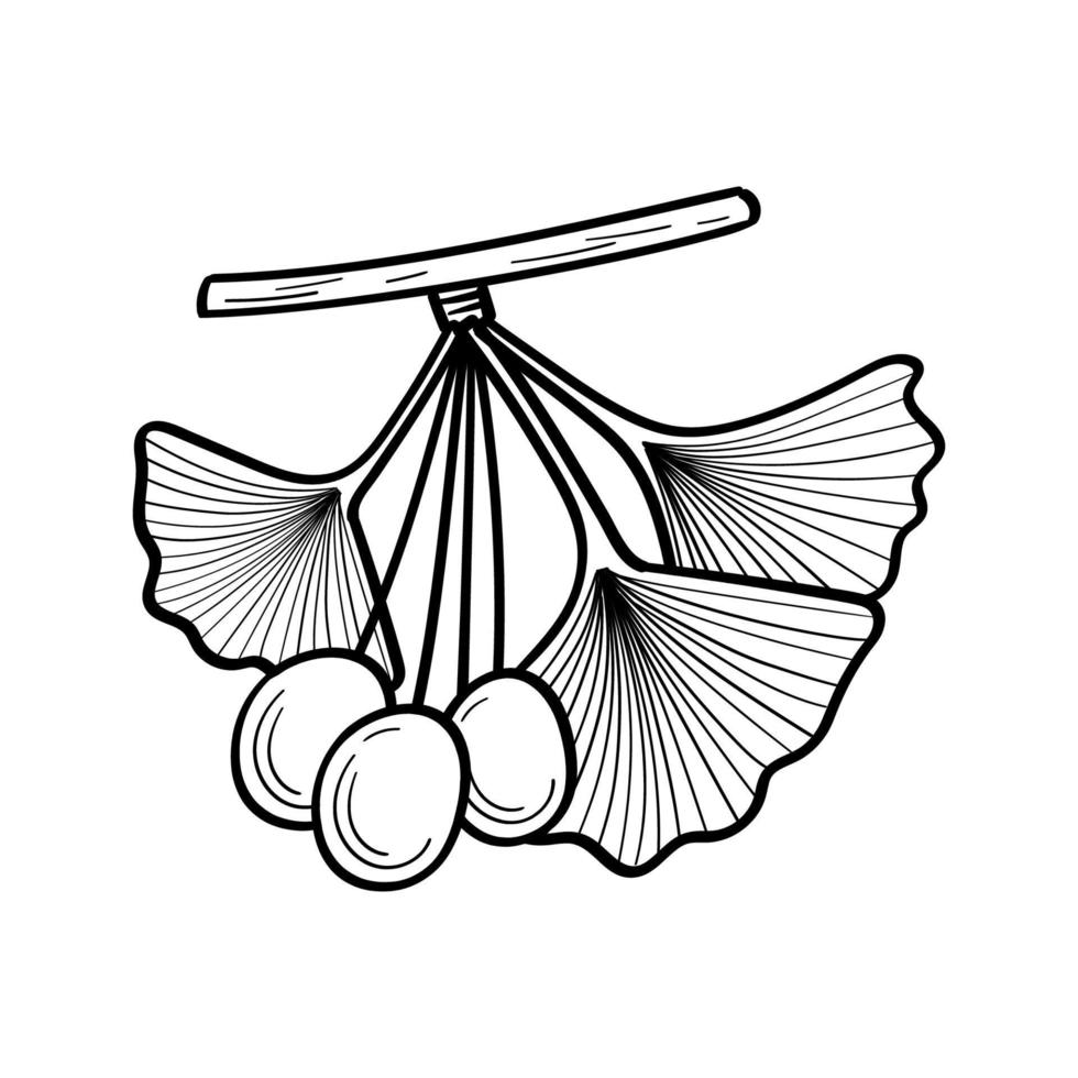 Japanese Ginkgo biloba tree leaves. Outline vector illustration
