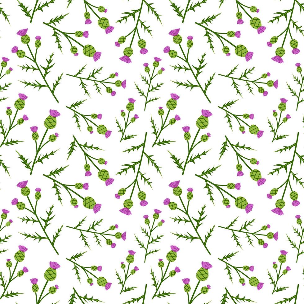 Seamless pattern with Thistle on white background vector