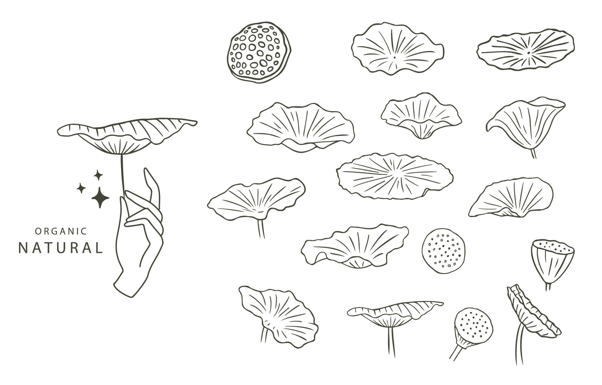 Black lotus flower illustration for icon,sticker,printable and tattoo 8831695 Vector Art at Vecteezy Black lotus flower illustration for icon,sticker,printable and tattoo 8831695 Vector Art at Vecteezy
