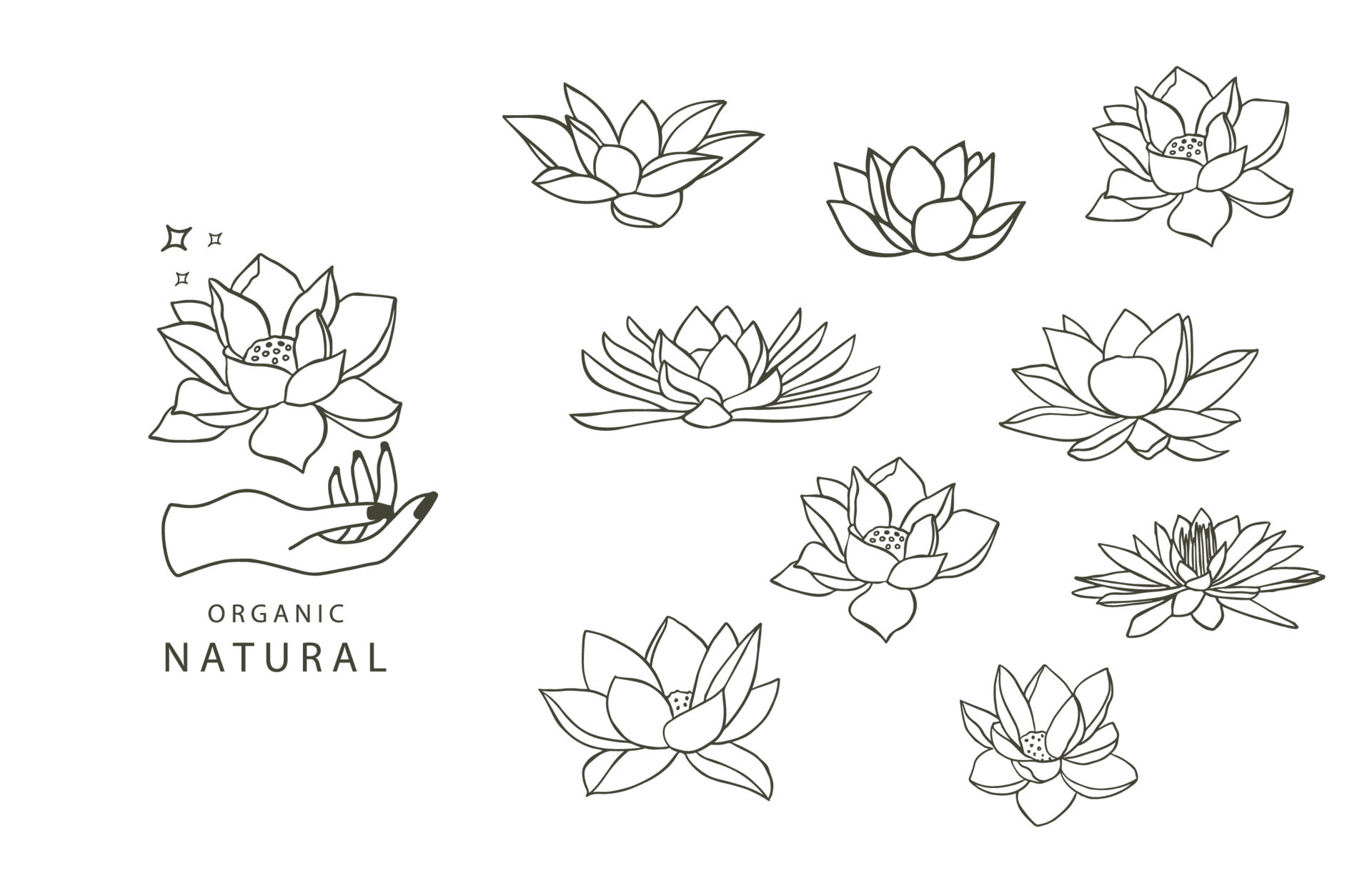 Black lotus flower outline.Vector illustration for icon,sticker,printable  and tattoo 8831703 Vector Art at Vecteezy