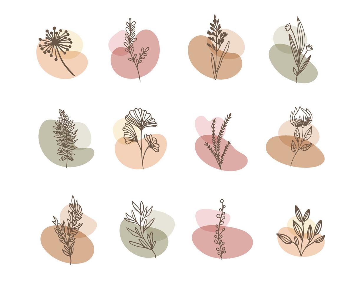 conjunto de flor boho forma abstracta con adornos de hojas vector