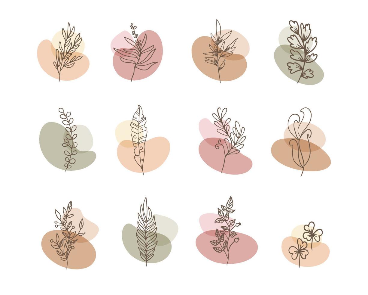 Set of flower boho abstract shape with leaves ornaments vector