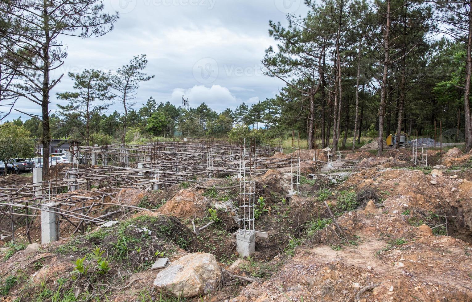Pile foundation with the wooden frame for built the ground floor. photo