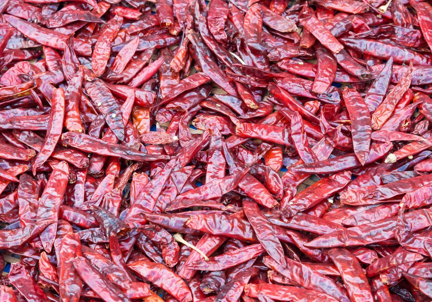Dried red chili photo