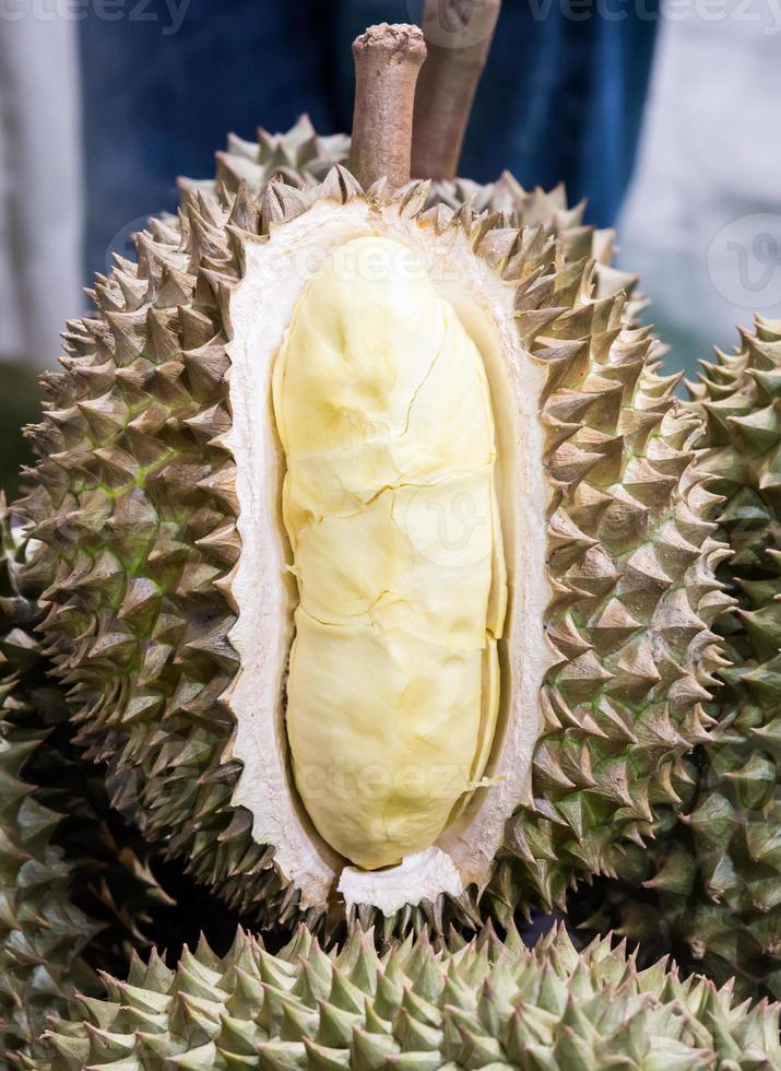 The Ripe durian photo