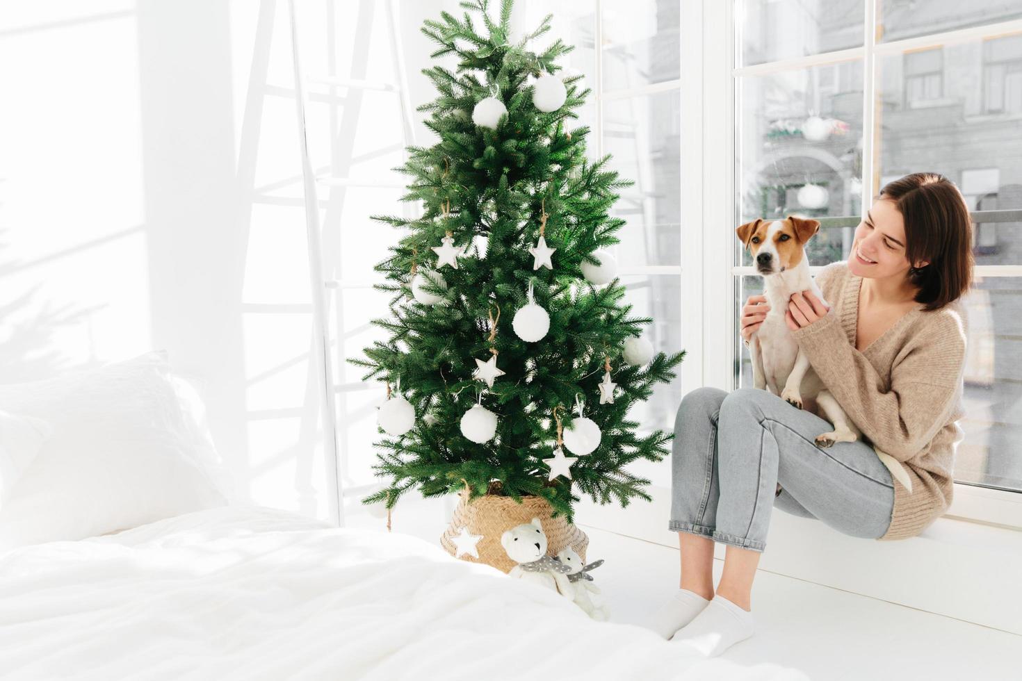 Dark haired young Caucasian lady with pleasant smile plays with pedigree dog, wears sweater, jeans and socks, sits at windowsill near white bed and decorated Christmas tree. New Year holiday photo