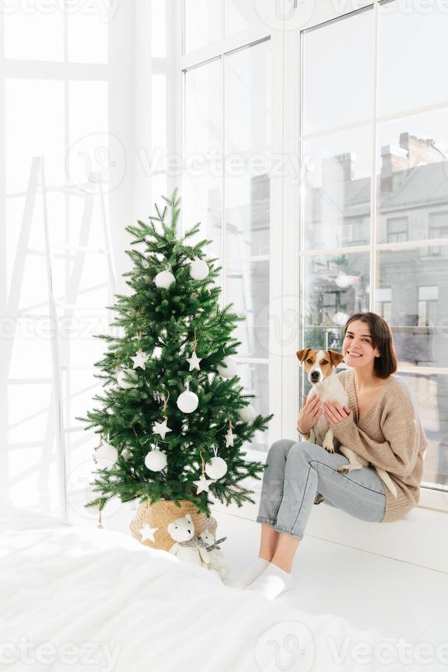 Vertical shot of positive woman poses with jack russell terrier dog, dressed in casual domestic clothes, pose together in bedroom with decorated New Year tree, anticipate for holiday. Winter time photo