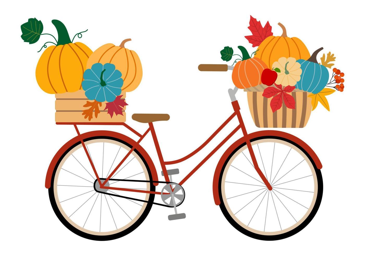 Cute red bicycle, wood crate and basket with pumpkins, colourful autumn leaves, rowan berries. Isolated on white background. Vector illustration.