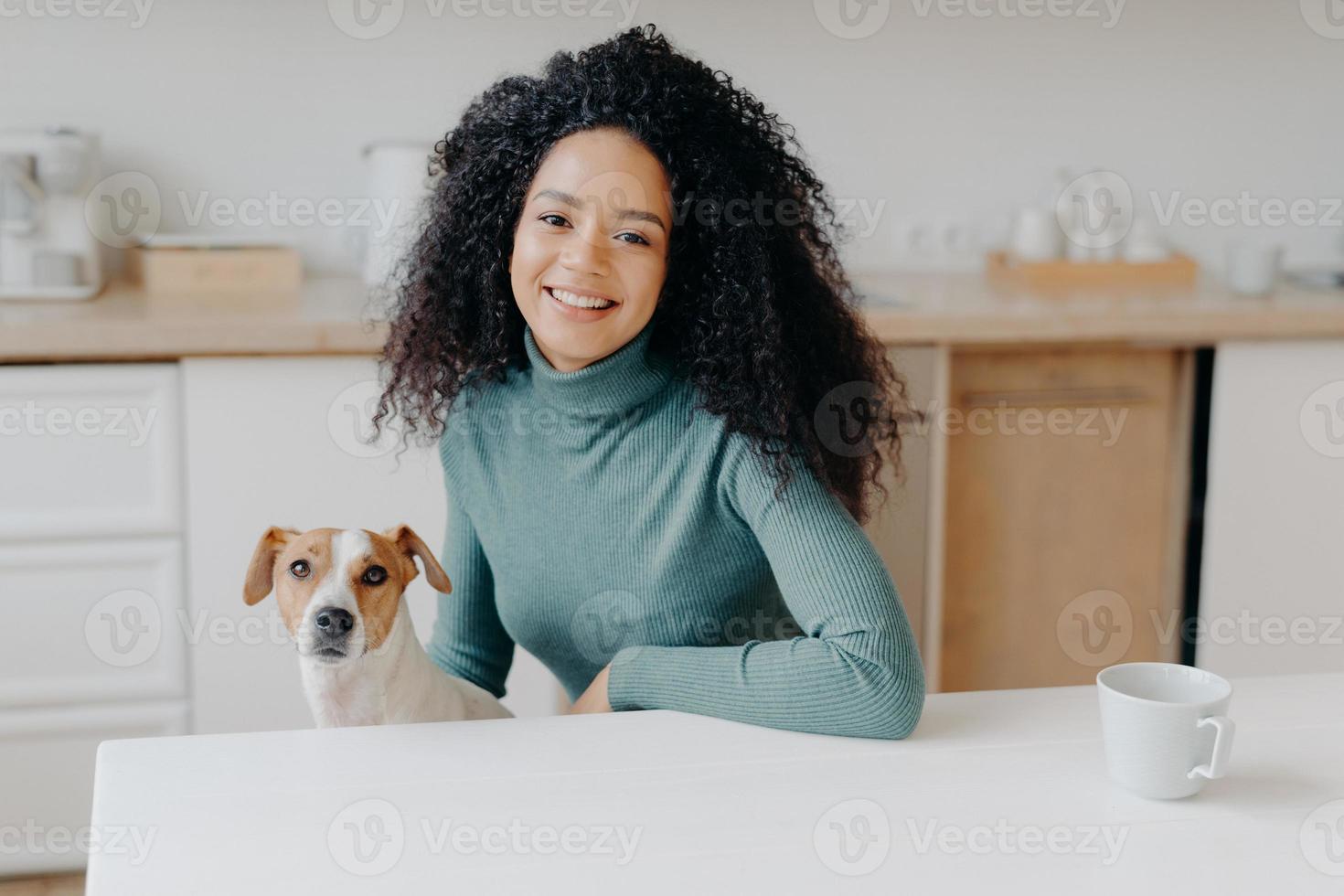 Beautiful curly haired woman dressed in casual turtleneck, sits at white table in kitchen, drinks tea from cup, plays with jack russell terrier dog, enjoys spare time. Afro lady with favourite pet photo