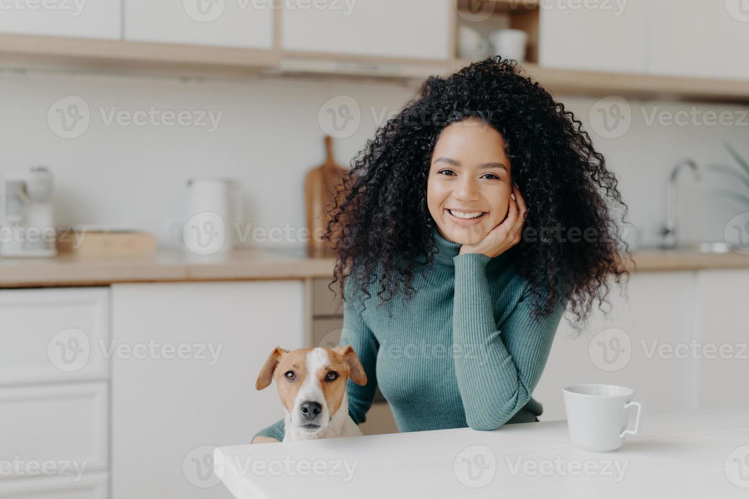 People, animals, friendship concept. Cheerful curly woman sits in kitchen , drinks hot bevereage, her loyal domestic pet poses near enjoy spending time together. Afro girl with dog in modern apartment photo