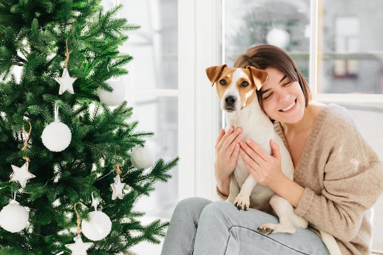 People, animals, relationship and holiday concept. Adorable brunette woman embraces pet with love, dressed in brown oversized sweater and jeans, pose near decorated Christmas tree, have festive mood photo