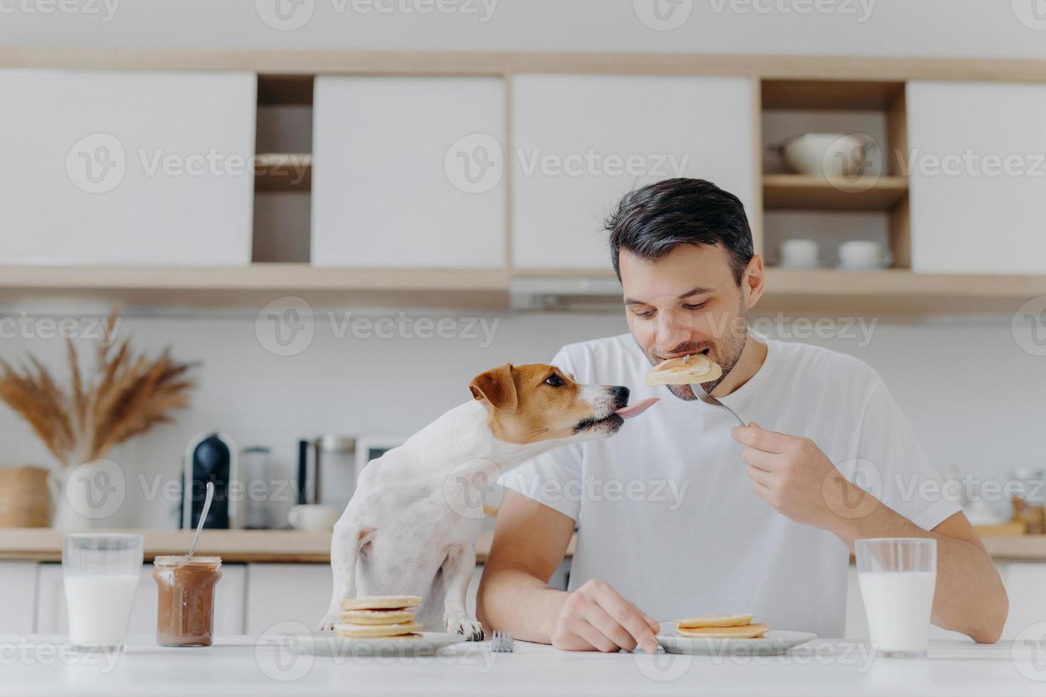 Hungry man eats sweet pancakes, uses fork, drinks fresh milk, dog sticks out tongue, asks to eat, sit at white table in modern kitchen. Enjoying meal or dessert. Tasty snack. Mmm, how delicious photo