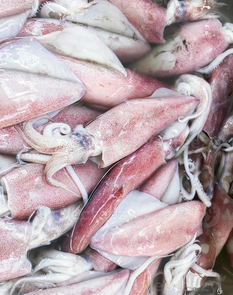 Fresh squid pile. photo