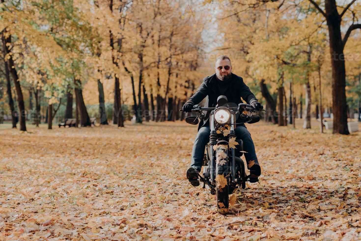 Brutal professional male motorcyclist rides bike, wears sunglasses, gloves and black jacket, has ride through autumnal park, beautiful scenery in background with yellow trees and fallen leaves around photo
