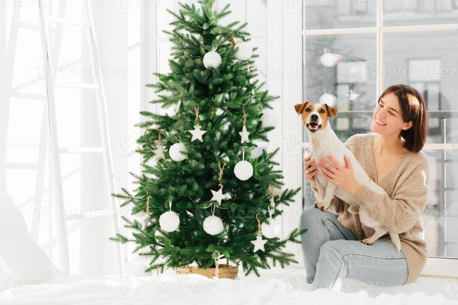 Photo of happy European woman embraces pedigree dog, pose around decorated Christmas tree, enjoy domestic atmosphere, winter holidays, have fun together. Merry Christmas and happy New Year concept