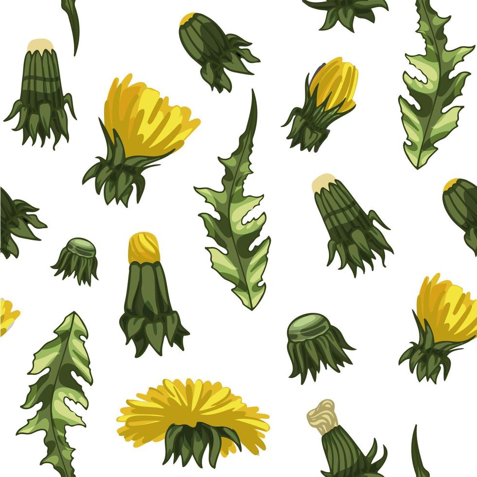 Hand drawn floral pattern dandelion vector