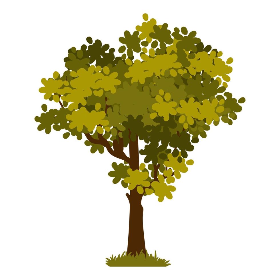 Cartoon green tree isolated on a white background. Vector element for spring or summer landscape.