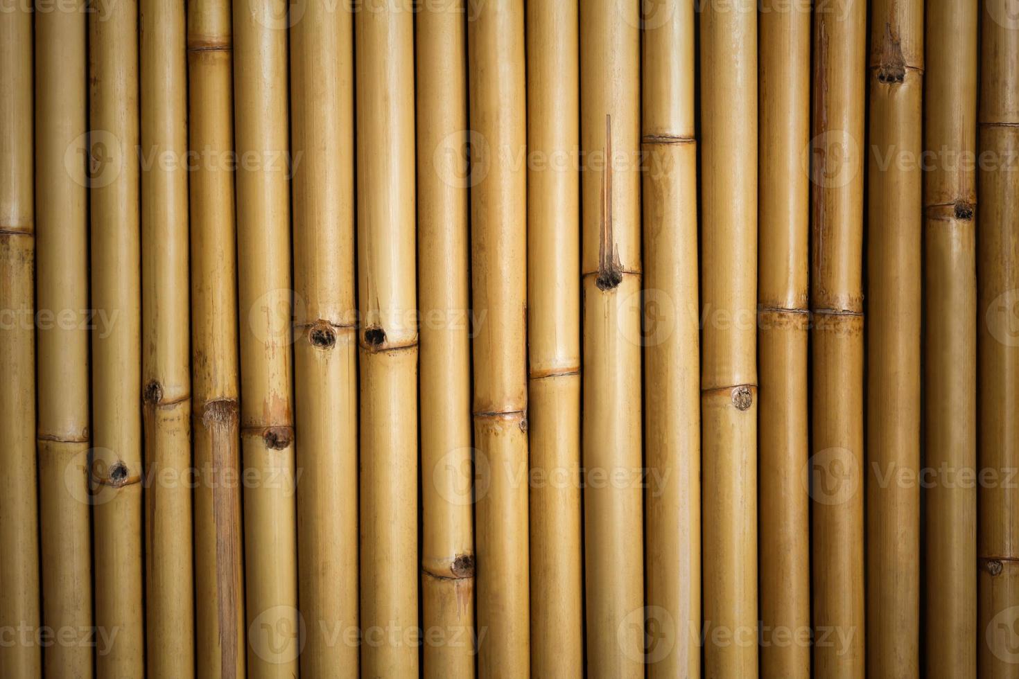 close up Bamboo background photo