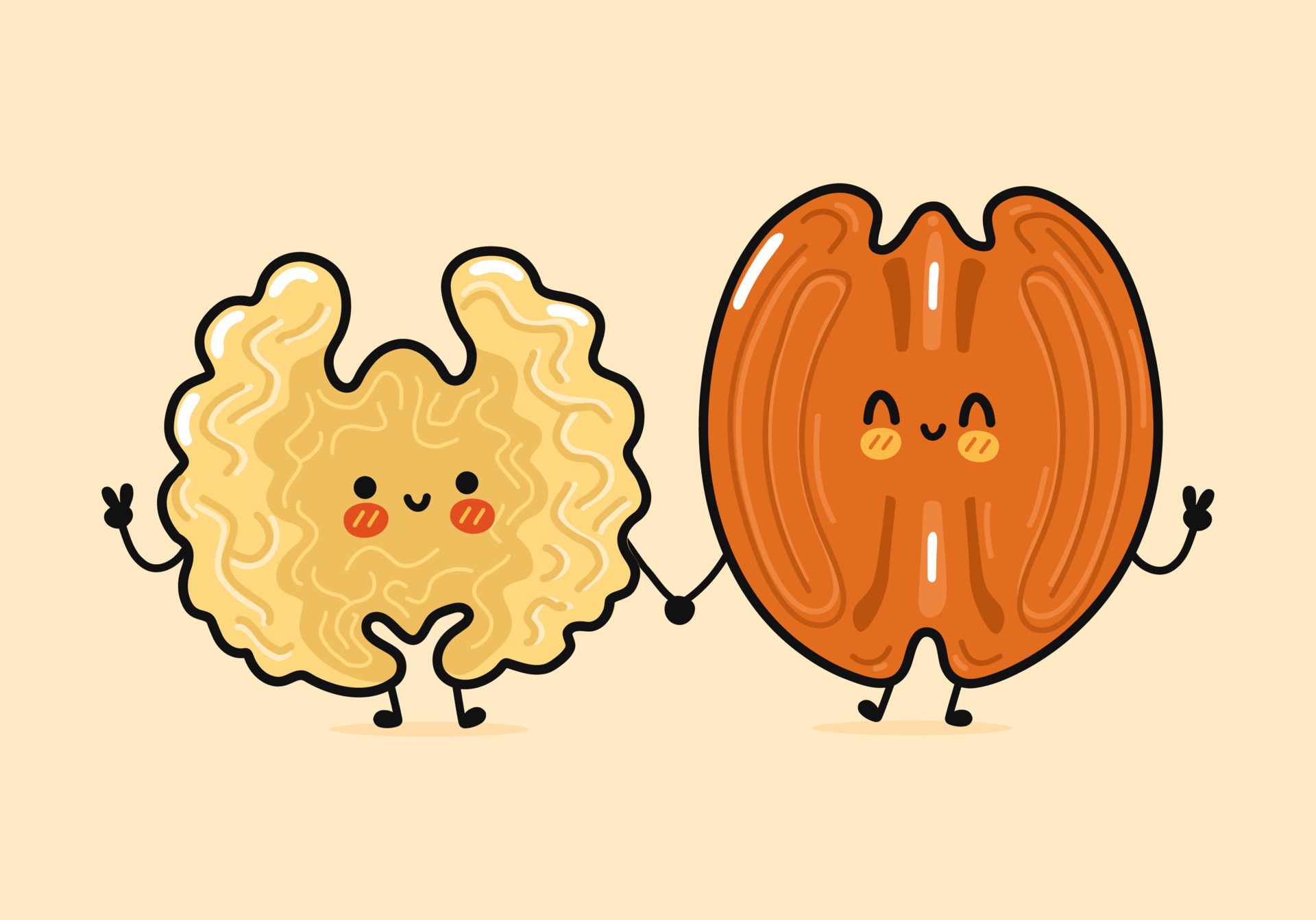 Cute, funny happy walnut and pecan character. Vector hand drawn cartoon  kawaii characters, illustration icon. Funny cartoon walnut and pecan friends  8842285 Vector Art at Vecteezy