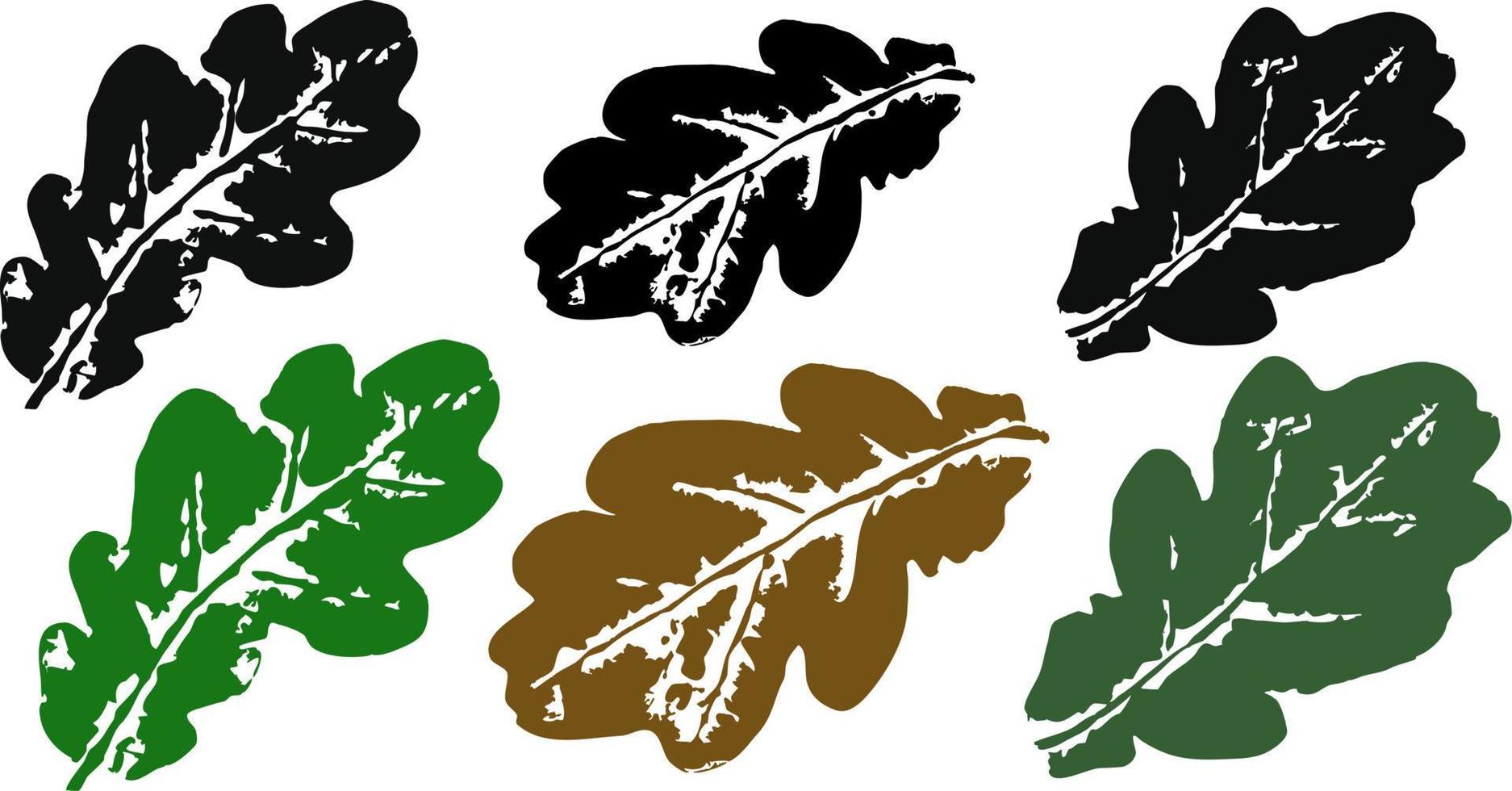 una colección de estampados de hojas otoñales del roble, negras y coloreadas sobre fondo transparente. ilustración vectorial vector
