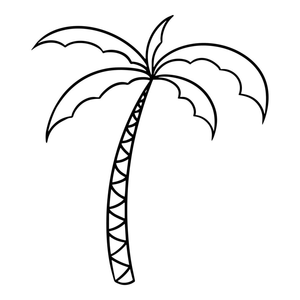 Monochrome picture, Tall palm tree with leaves, vector cartoon illustration on a white background