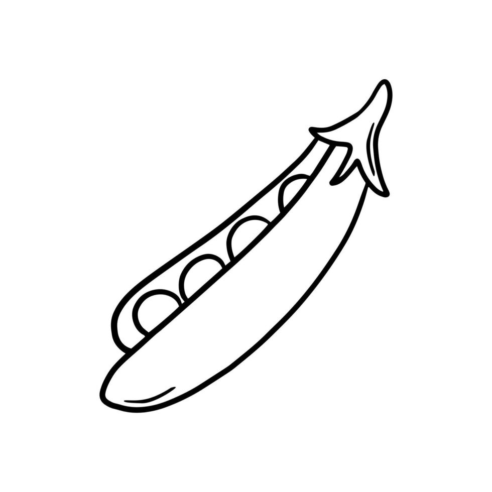 Monochrome picture, pod with ripe peas, ripe vegetables, vector illustration in cartoon style on a white background