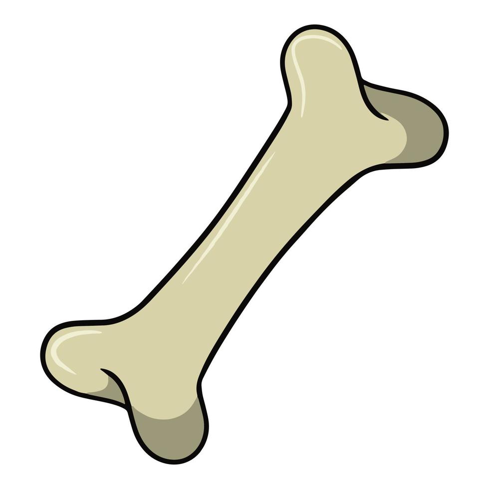 Dog toy, bone, vector illustration in cartoon style on a white background