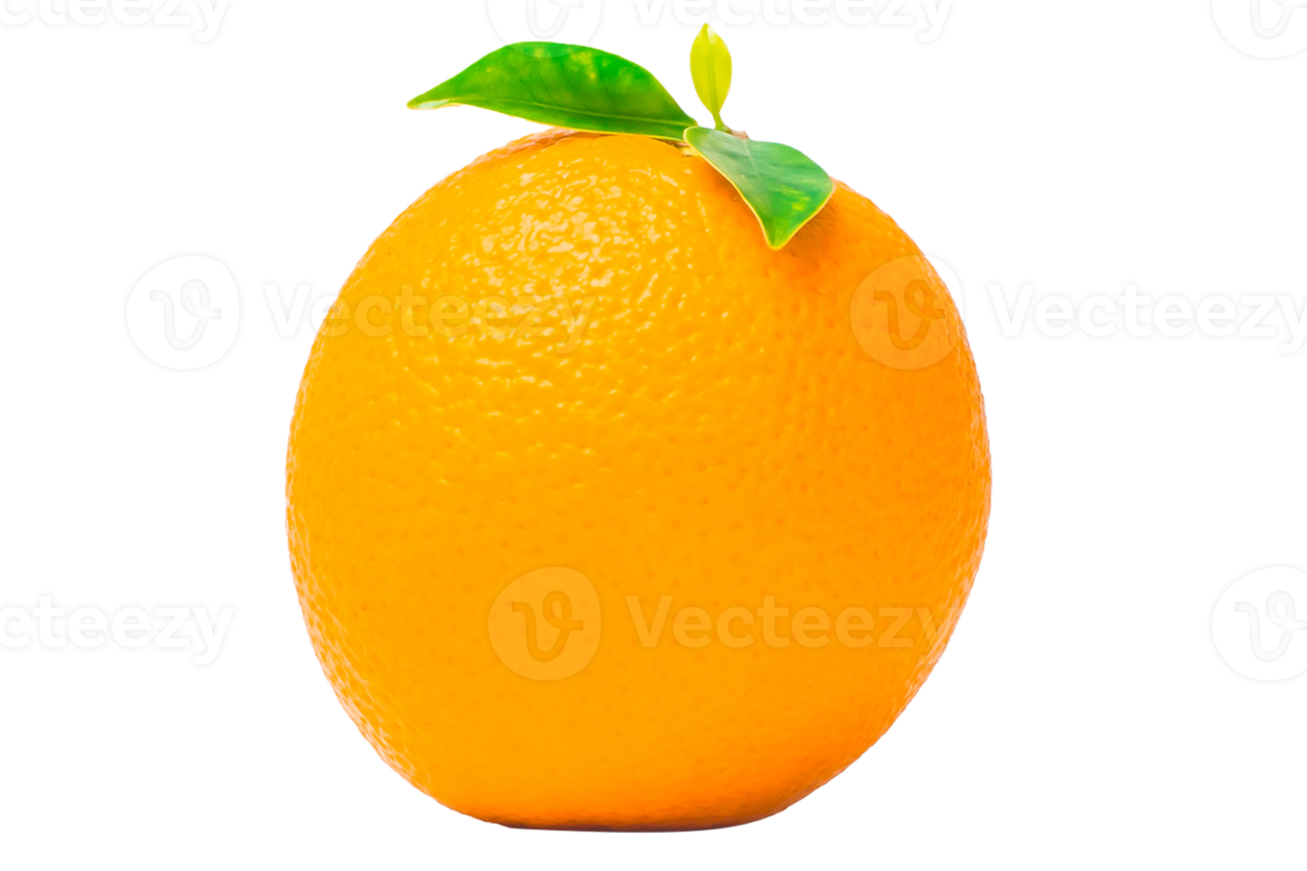 fruta laranja em fundo branco png