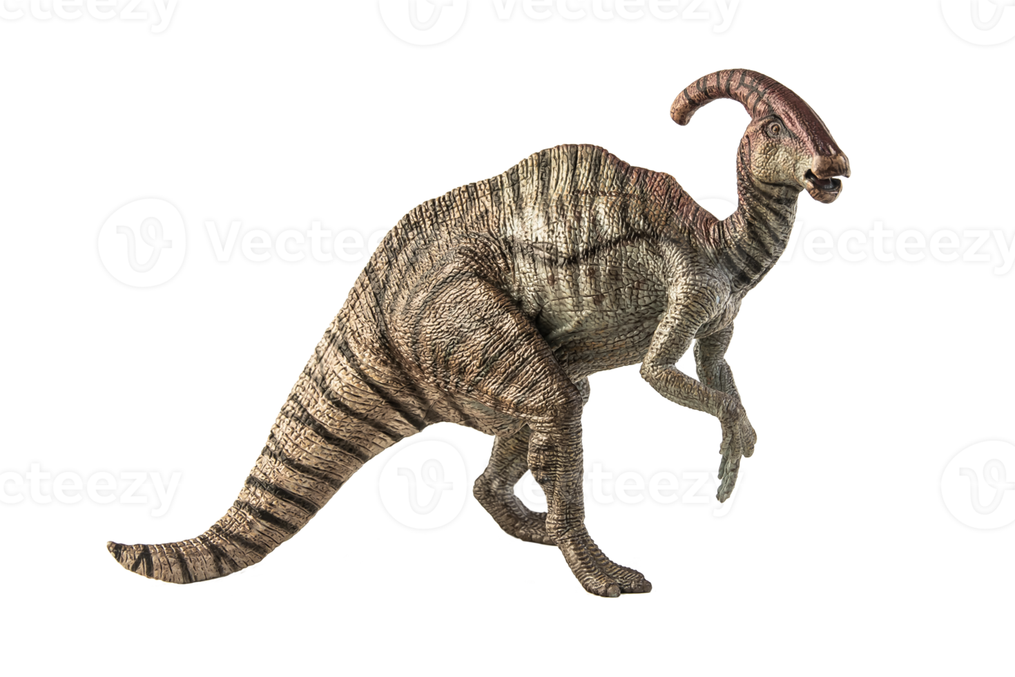 Parasaurolophus Dinosaur on white background png
