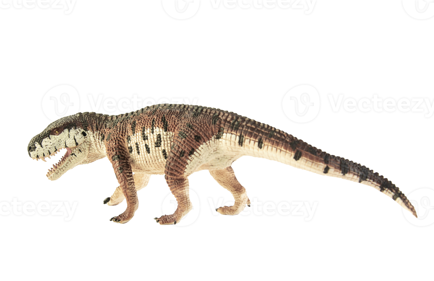 prestosuchus, dinosauro su sfondo bianco. png