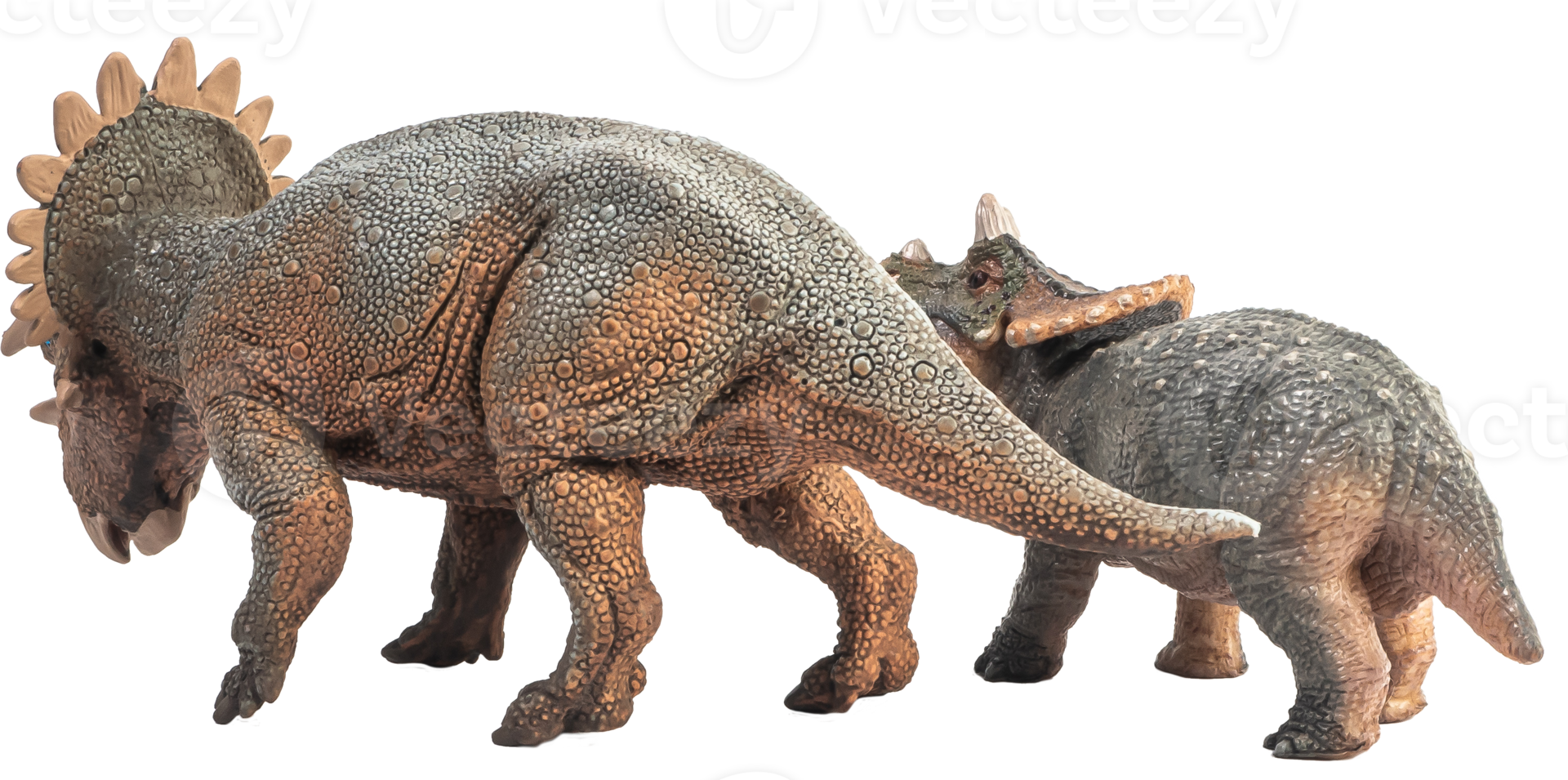 Regaliceratops-Dinosaurier auf weißem Hintergrund png