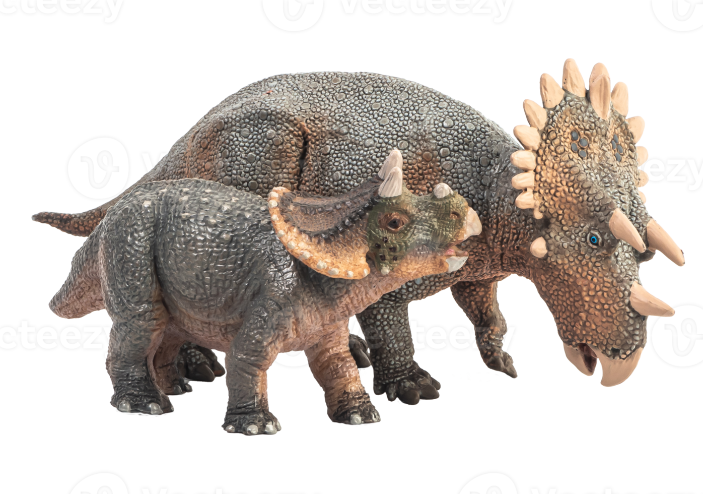 regaliceratops dinosaurus op witte achtergrond png