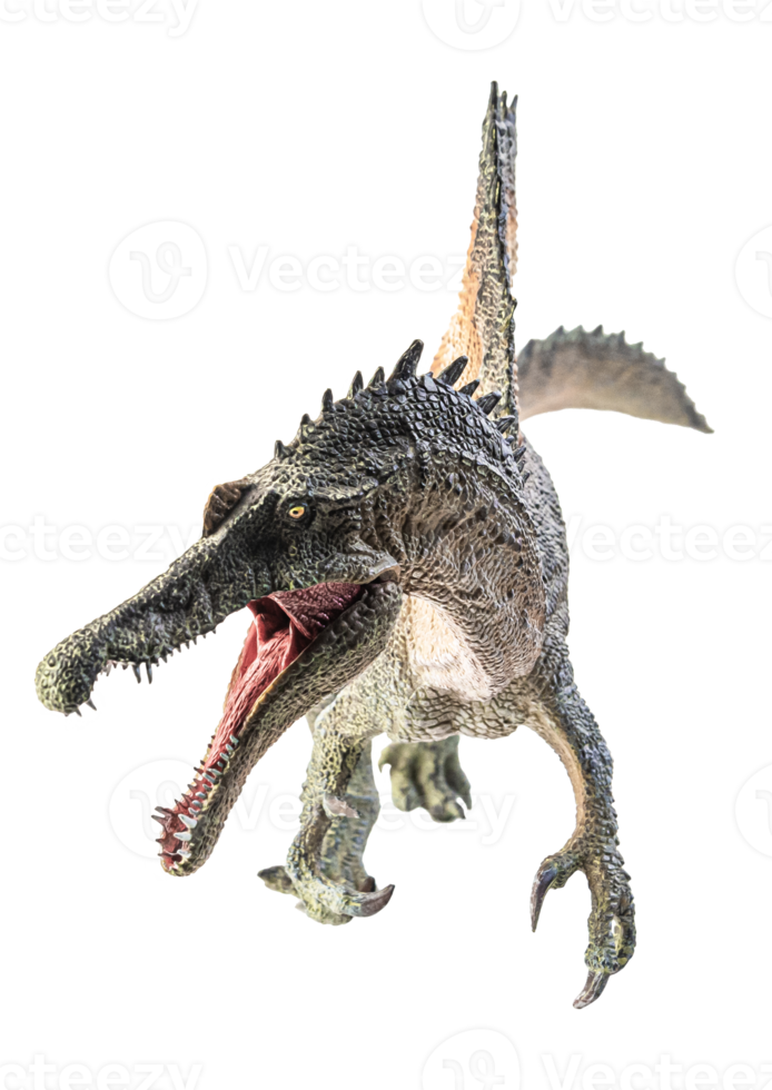 Spinosaurus , dinosaur on white background . png