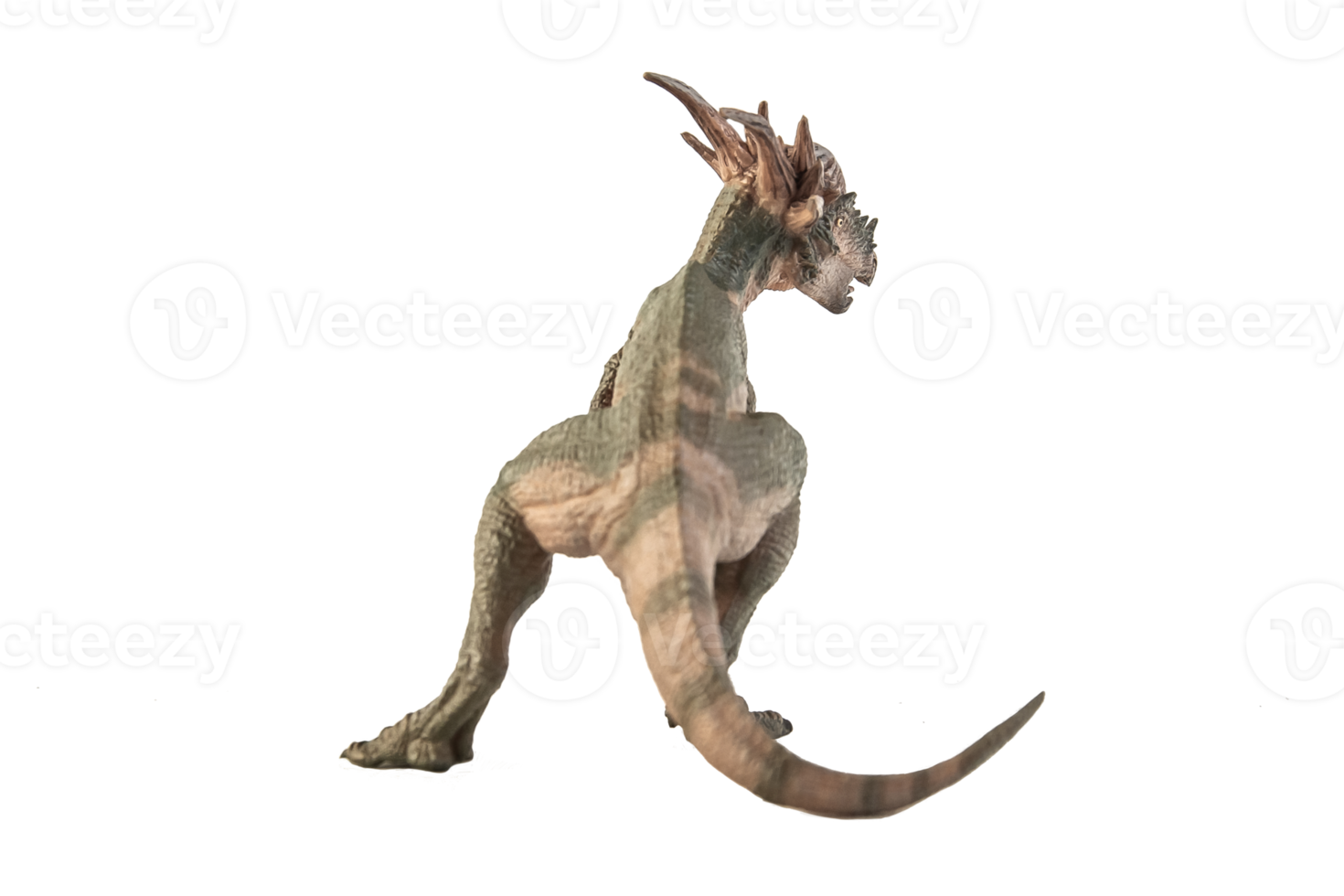 Stygimoloch-Dinosaurier auf weißem Hintergrund png