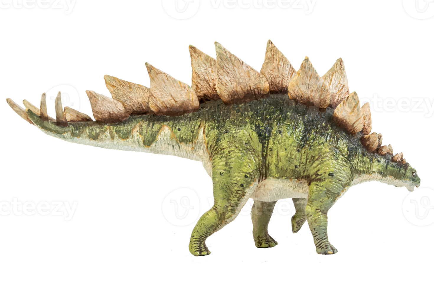 Stegosaurus-Dinosaurier auf isolierendem Hintergrund. png