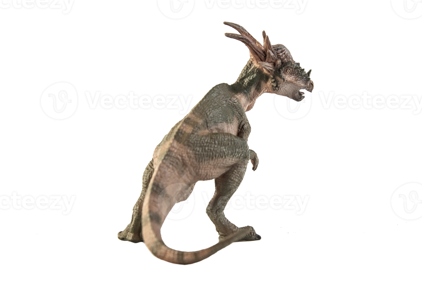 Stygimoloch-Dinosaurier auf weißem Hintergrund png