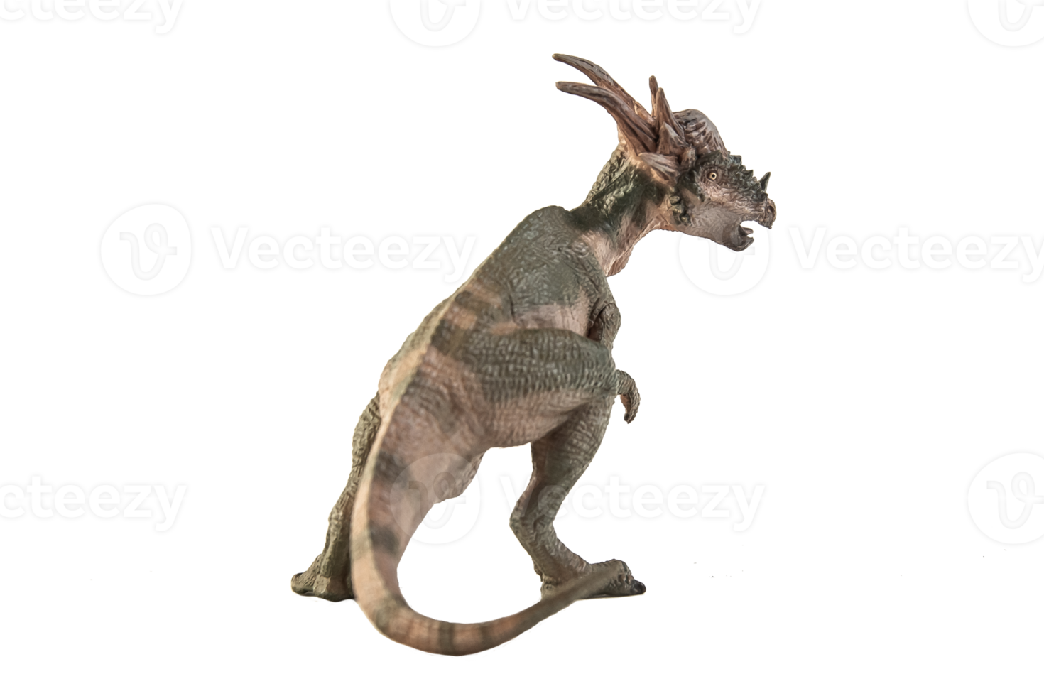 stygimoloch dinosauro su sfondo bianco png