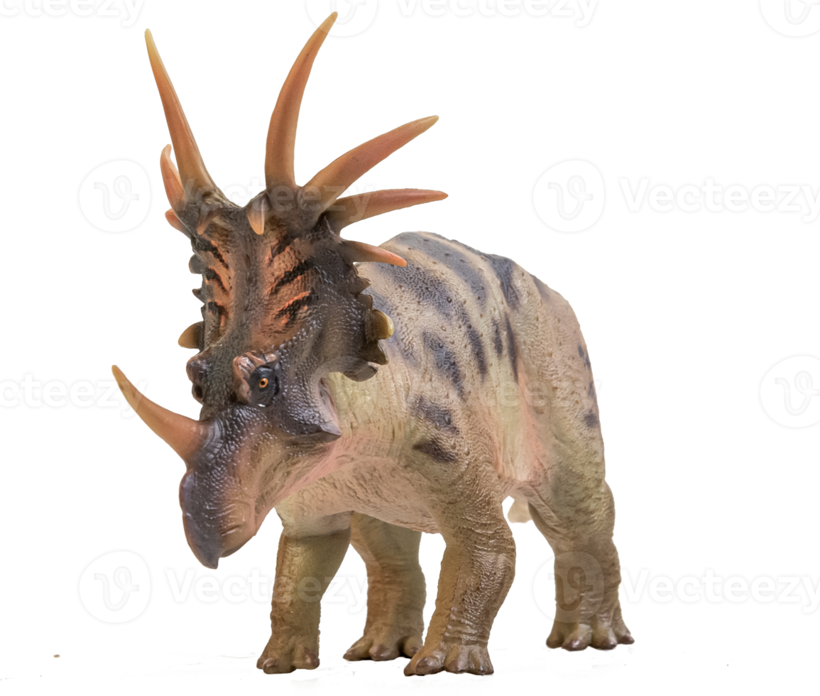Styracosaurus  Dinosaur on isolate background png