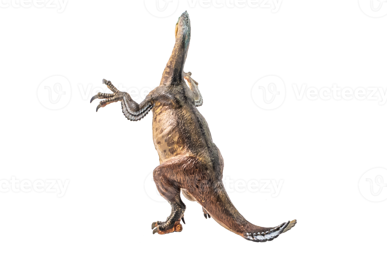 Amargasaurus ,dinosaur on white background png