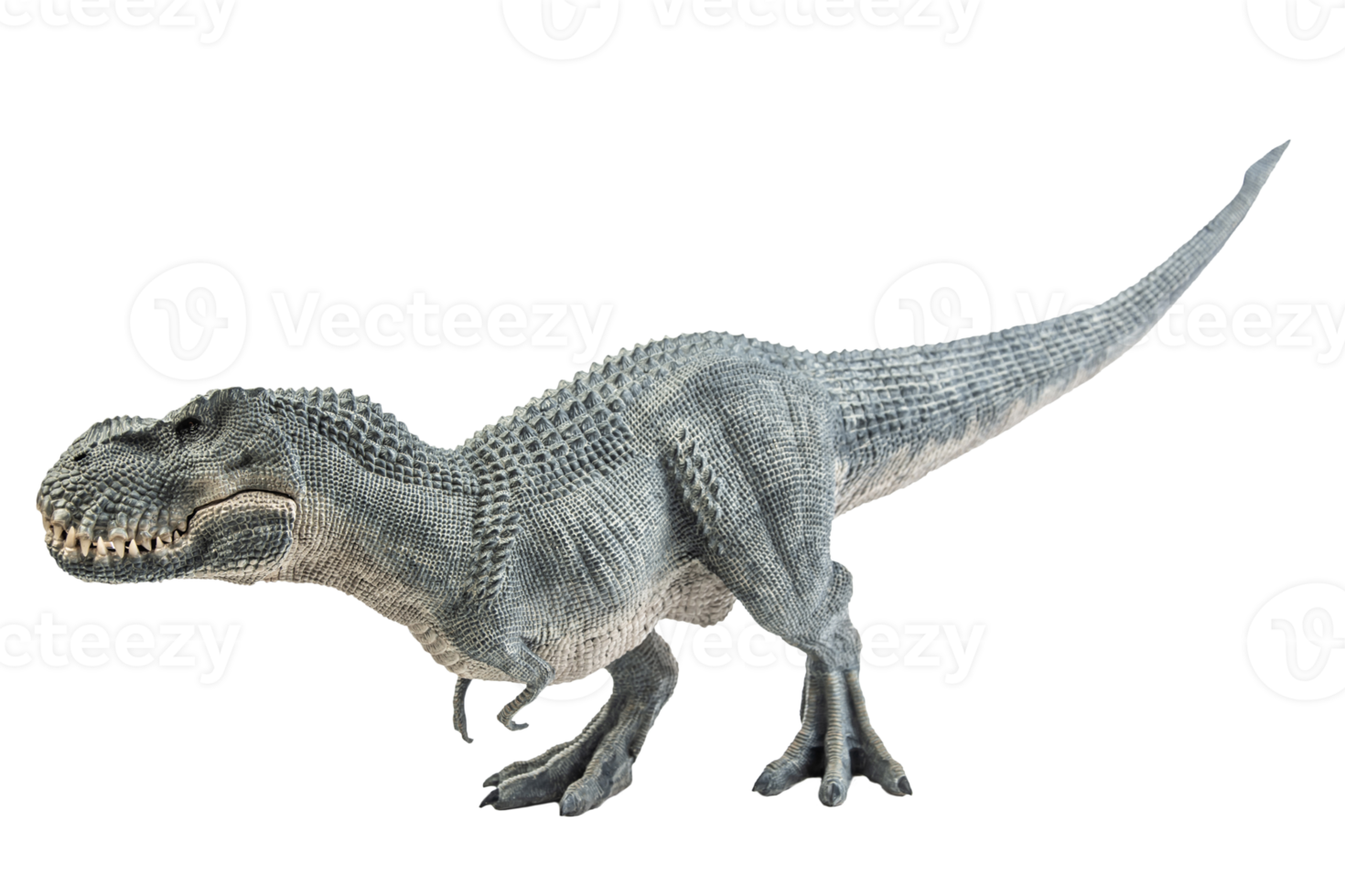 Tyrannosaurus t-rex, dinosaure sur fond blanc png